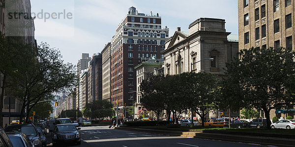 New York City Amerika Baum Gebäude Straße vorwärts Verbindung Menschenreihe