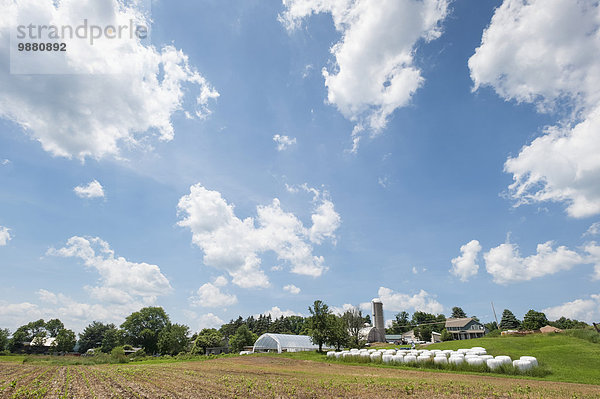 Amerika Landschaft Hügel Bauernhof Hof Höfe Verbindung Pennsylvania steil