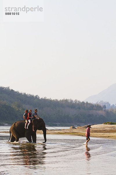 Außenaufnahme fahren Fluss Elefant Backpacker mitfahren