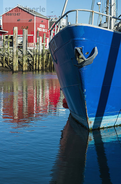 Farbe Farben Hafen Amerika Verbindung Mut