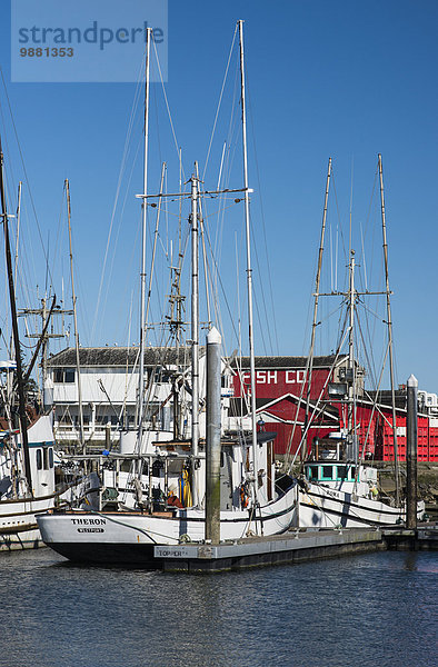 Wasser Hafen Amerika Wind gewellt Verbindung