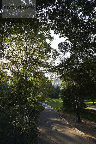 New York City Amerika Weg Verbindung Fußgänger Central Park Sonne