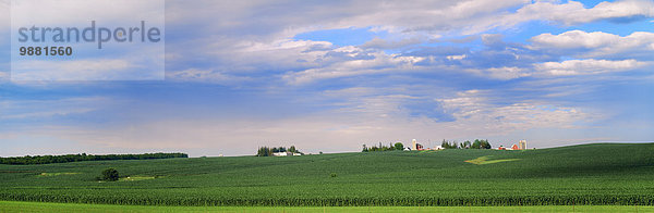 Mais Zuckermais Kukuruz Vereinigte Staaten von Amerika USA Getreide Hügel Landwirtschaft Wachstum hoch oben Mittelpunkt Iowa