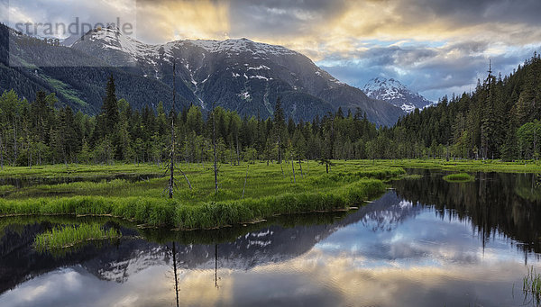 nahe Sonnenuntergang über Wald Tongass National Forest Alaska