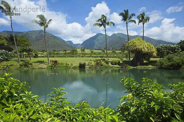 Amerika Verbindung Hawaii Maui