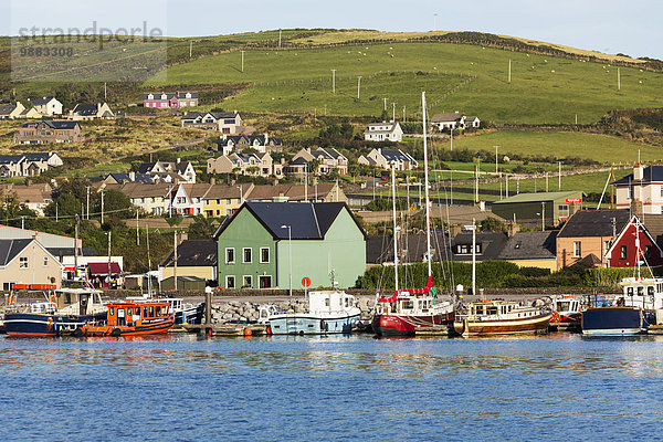 Hafen Himmel Gebäude Boot bunt blau Wiese Hügel Kerry County Dingle