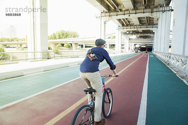 Rückansicht des männlichen Radfahrers im Radweg  Seoul  Südkorea