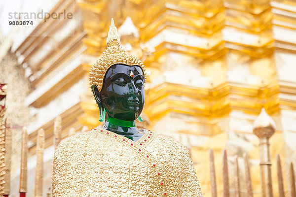 Jadebuddha vor goldenem Tempel  Chiang Mai  Thailand