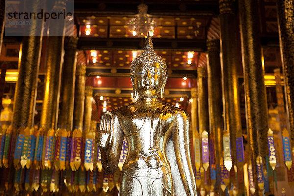 Buddha im goldenen Tempel  Chiang Mai  Thailand