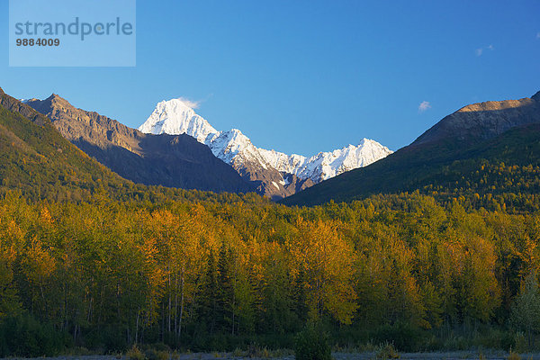 Berg bedecken Amerika Horizont Verbindung Alaska Schnee