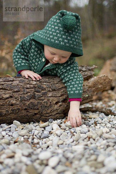 Kleines Mädchen lehnt sich über Baumstamm und berührt Kieselsteine