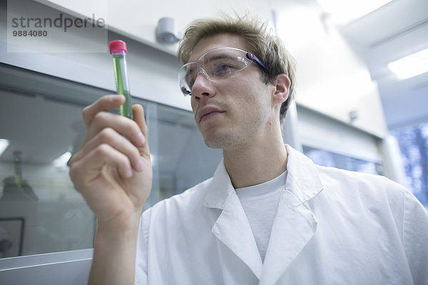Männlicher Wissenschaftler sucht Reagenzglas im Labor