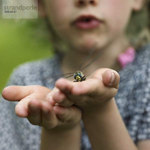 Mädchen mit Libelle auf Handfläche