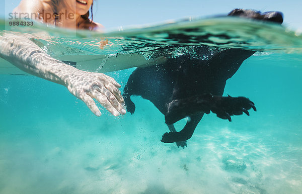 Zusammenhalt Frau schwimmen Labrador Playa de Bolonia