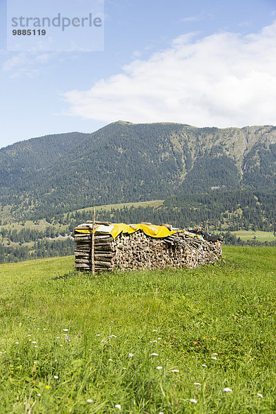 Blick auf Berge und gestapelte Stämme  Eckbauer bei Garmisch  Bayern  Deutschland