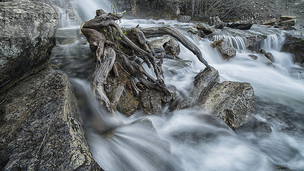 Jasper Nationalpark Alberta Kanada