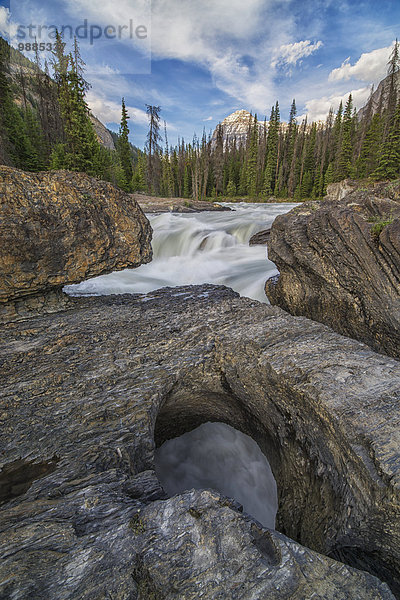 Landschaft über treten Brücke fließen Fluss gehen Wasserfall unterhalb Yoho Nationalpark British Columbia Kanada