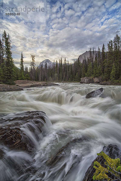 Landschaft über treten Brücke fließen Fluss gehen Wasserfall unterhalb Yoho Nationalpark British Columbia Kanada