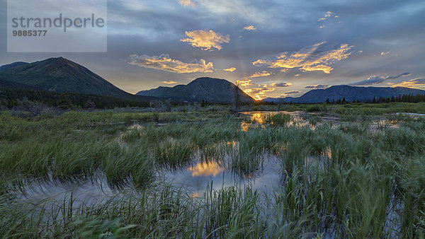 Kröte bufo gutteralis hinter nahe Berg Beleuchtung Licht See Produktion Kanada Sonne Yukon