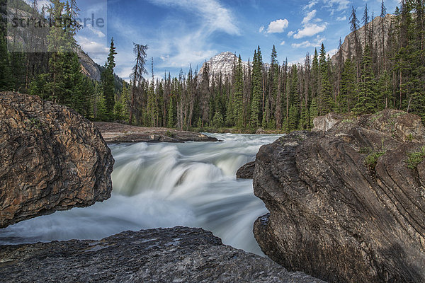 Landschaft über treten Brücke fließen Fluss gehen Wasserfall unterhalb Yoho Nationalpark British Columbia Kanada