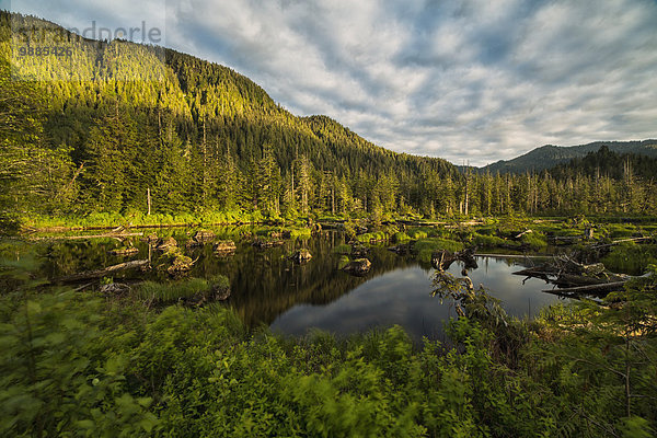 nahe beleuchtet Tischset Sonnenuntergang klein British Columbia Kanada Teich Prinz Sonne