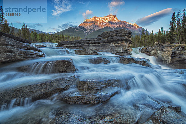 hoch oben Nationalpark Sonnenuntergang fließen Fluss Beleuchtung Licht Berg Athabasca River Jasper Nationalpark Alberta Kanada