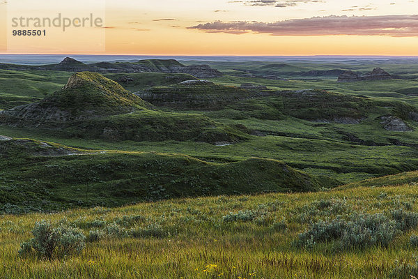 Nationalpark Sonnenuntergang über Steppe Wiese Saskatchewan Kanada