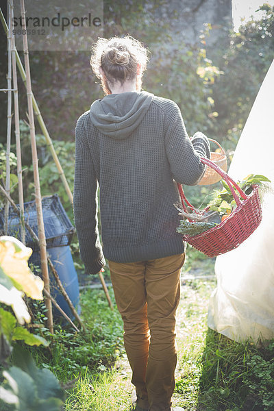 Junger Mann mit Korb mit einheimischem Gemüse
