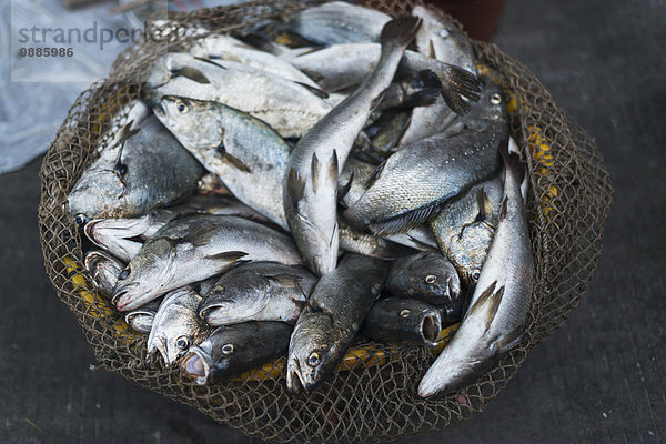Fisch Pisces Tradition Korb Straße Großstadt Wahrzeichen chinesisch Dorf angeln China Fujian Markt Platz