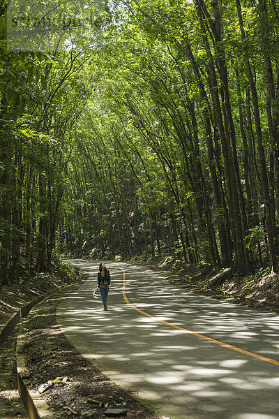 gehen Fernverkehrsstraße Wald Insel Mittelpunkt vorwärts Philippinen Mädchen