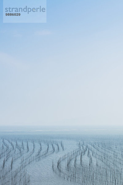 Wasser Gebäude hängen Produktion trocken Netz angeln China Fujian