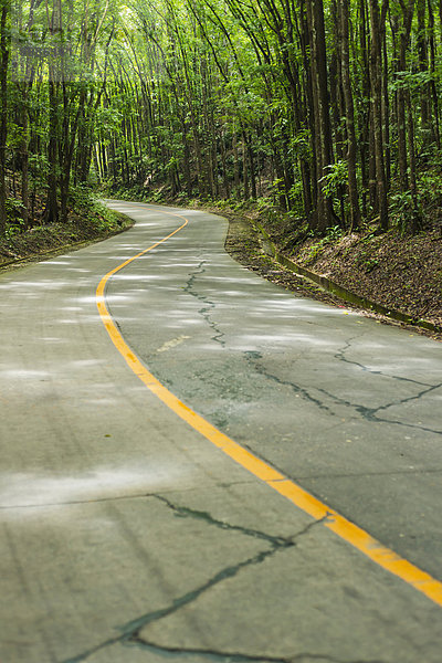 Fernverkehrsstraße Wald Insel Mittelpunkt vorwärts Philippinen Bohol