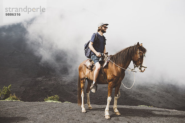 Pferdetrekking für junge Männer am Vulkan Pacaya  Antigua  Guatemala