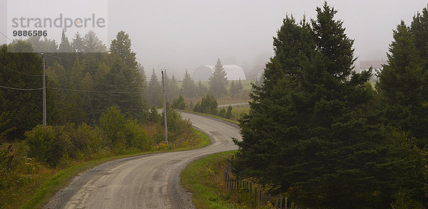 Ländliches Motiv ländliche Motive Fernverkehrsstraße Nebel Kanada Quebec
