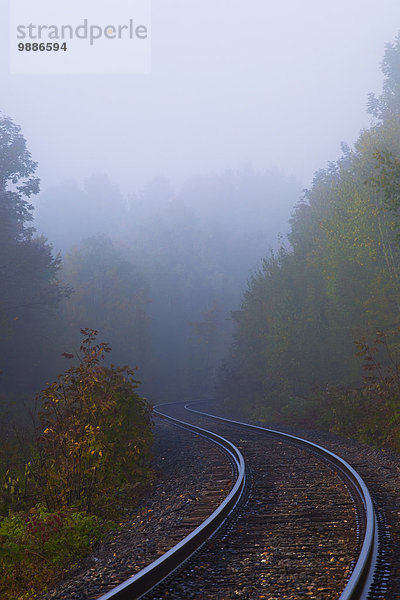 Wald Nebel Herbst Unterstützung Kanada Quebec Zug