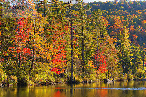Farbaufnahme Farbe Herbst Bäcker Kanada Teich Quebec