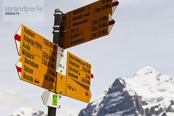 entfernt Berg Ziel Zeichen Schneedecke Hintergrund Berner Oberland Grindelwald Signal Schweiz