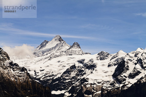 Berner Oberland Grindelwald Schweiz