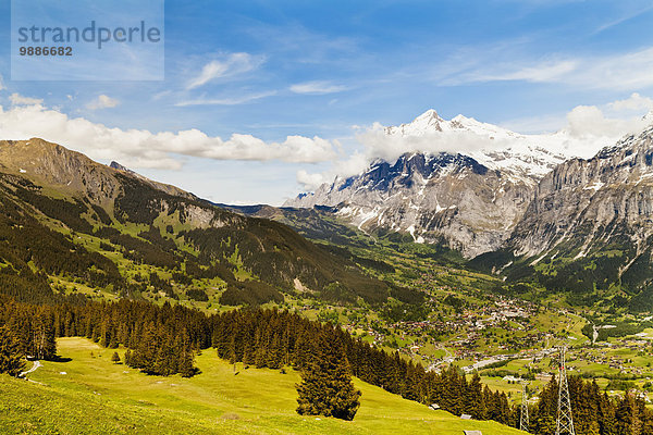 Berner Oberland Grindelwald Schweiz