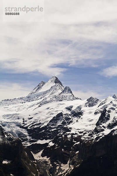 Berner Oberland Grindelwald Schweiz