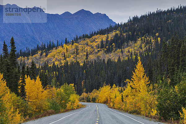 Landschaftlich schön landschaftlich reizvoll Herbst Bundesstraße vorwärts Yukon Kanada