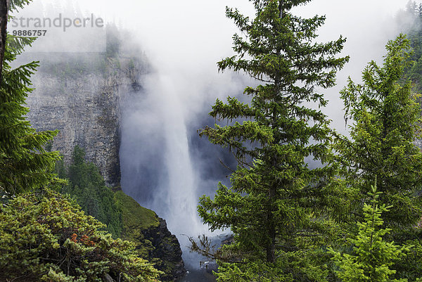 grau Nebel Ländliches Motiv ländliche Motive 04 Umgebung Helmcken Falls British Columbia Kanada