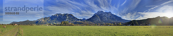 Schloss Neuschwanstein  Ammergauer Alpen  Bayern  Deutschland  Europa