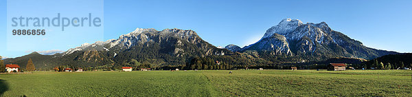 Schloss Neuschwanstein  Allgäu  Bayern  Deutschland  Europa