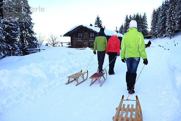 Drei Personen mit Schlitten im Winter  Ammergauer Alpen  Allgäu  Bayern  Deutschland  Europa
