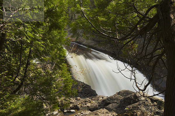 Felsen Küste Fluss Wasserfall Ansicht Wald Kanada Ontario