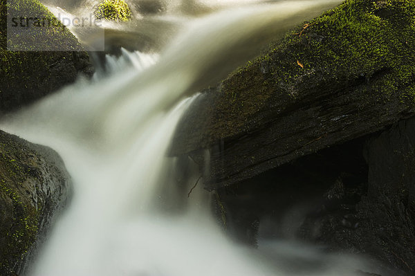 Felsbrocken Wasser Hektik Druck hektisch Wasserfall Steinschlag Moos Kanada Ontario