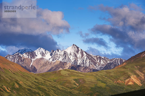 Nationalpark Landschaftlich schön landschaftlich reizvoll Berg Ansicht Denali Nationalpark Alaska Reißzahn