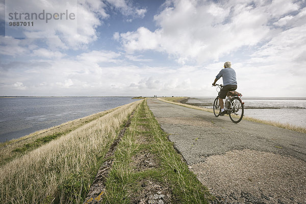 Radfahrer auf dem Deich  Sylt  Schleswig-Holstein  Deutschland  Europa