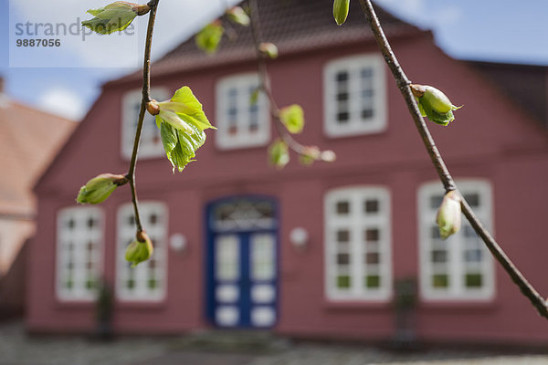 Haus  Brunsbüttel  Schleswig-Holstein  Deutschland  Europa